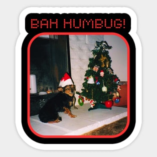 "Bah Humbug" Dog Sticker